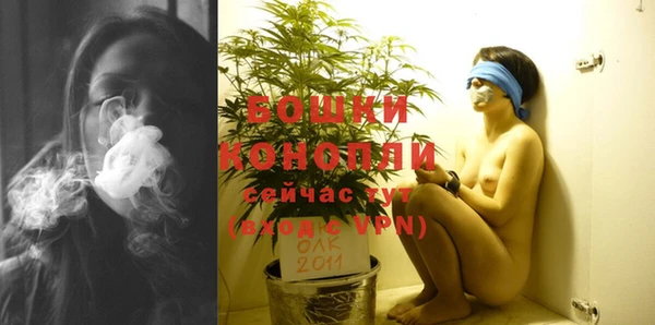 хмурый Бородино