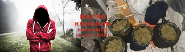хмурый Бородино