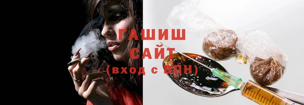 хмурый Бородино