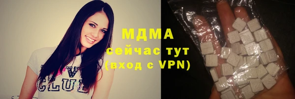 хмурый Бородино