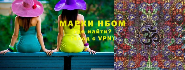 хмурый Бородино
