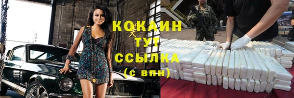 хмурый Бородино