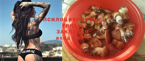 PSILOCYBIN Вязники