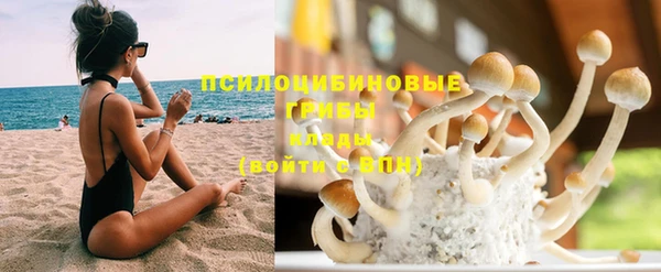 хмурый Бородино