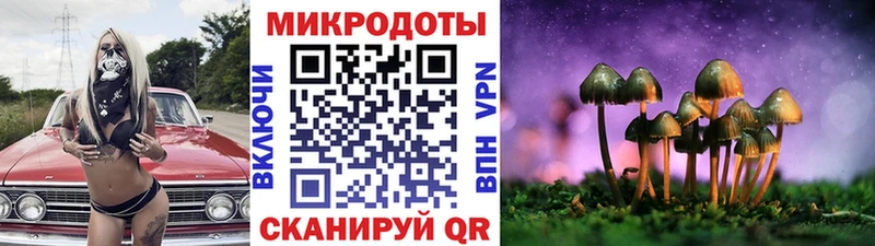 наркошоп  кракен маркетплейс  Галлюциногенные грибы мухоморы  Жердевка 